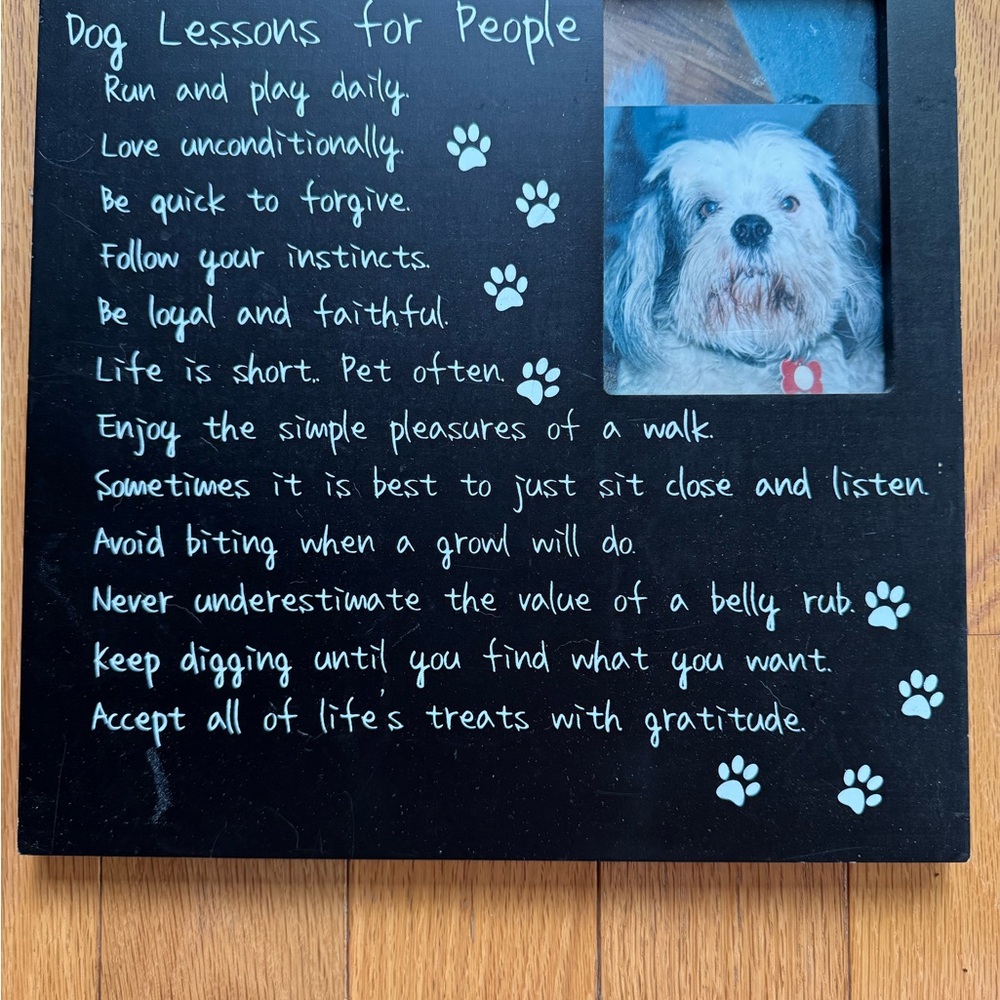 Dog Lessons for People Decorative Plaque
